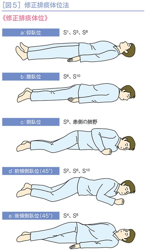 左前傾側臥位|体位により変化する換気運動と呼吸機能